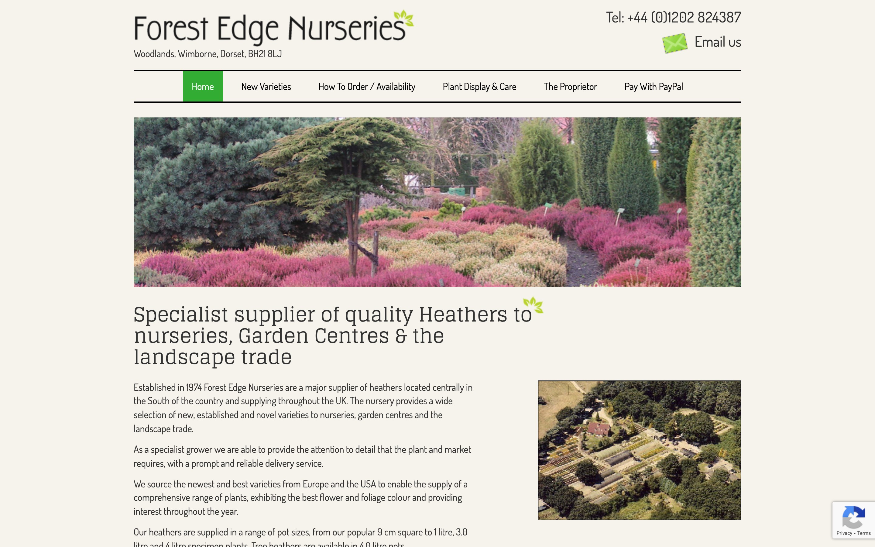 Forest Edge Nurseries homepage