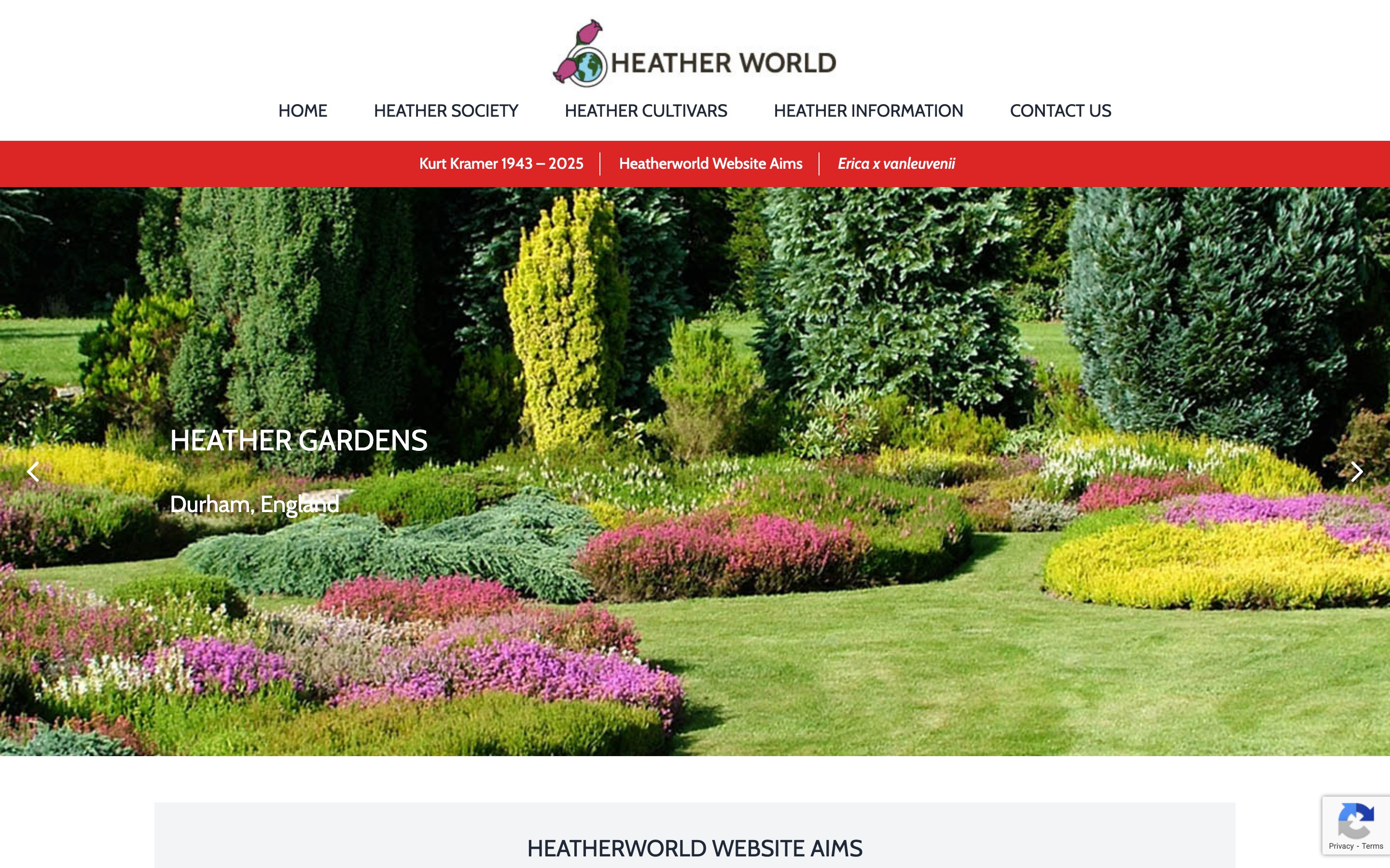 Heather World site structure and content organisation